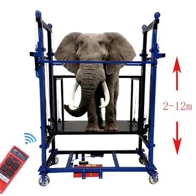 Electric Scaffolding Lift Platform